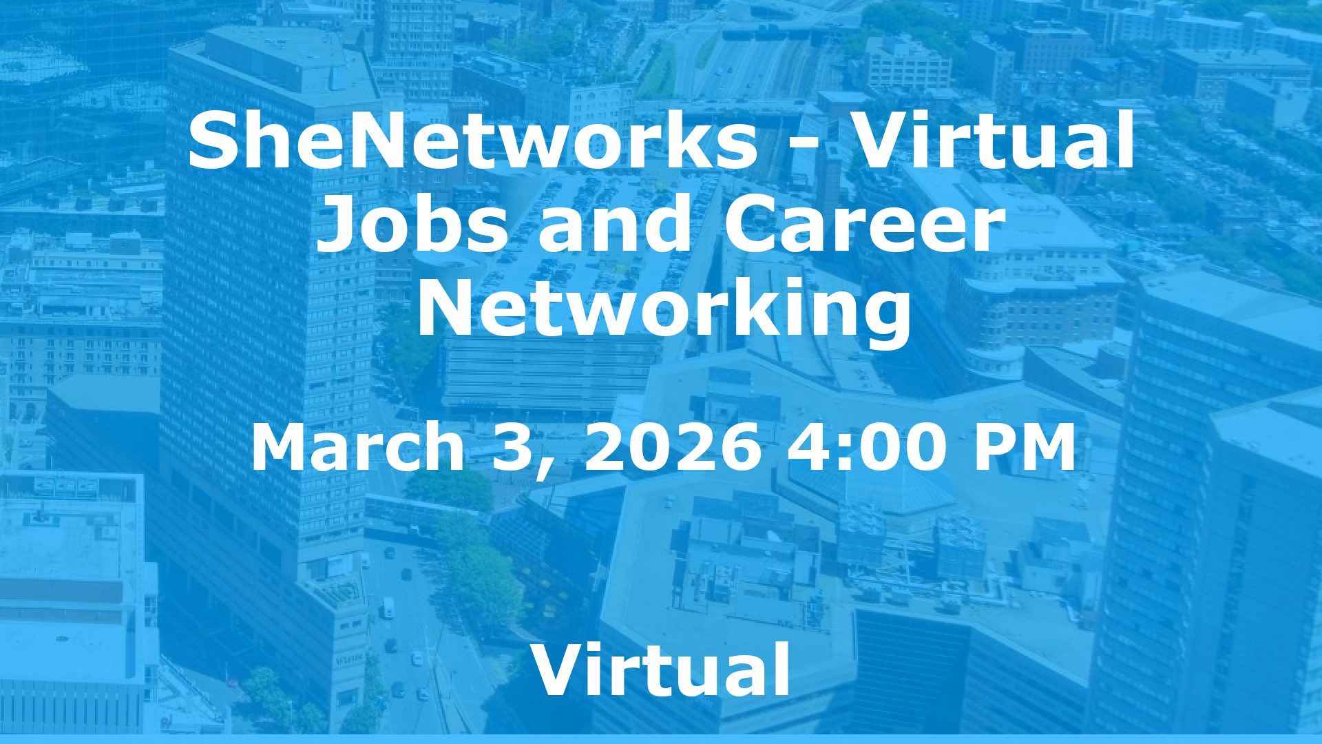 SheNetworks - Virtual Jobs and Career Networking event image